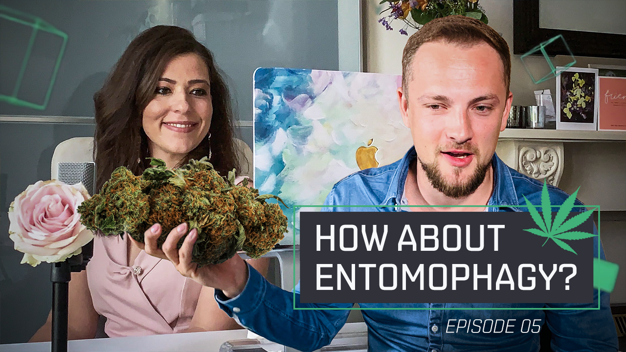 EXANTE’s ‘Surfing the Curves’, Episode 5: ‘How About Entomophagy?’